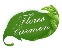 Flores Carmen en Valderas (León)